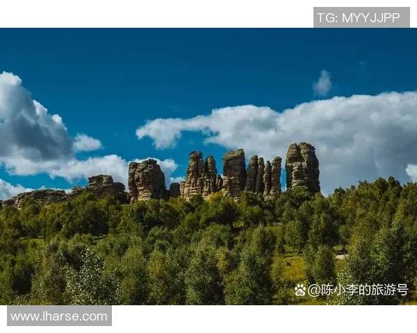 探索阿拉巴的独特魅力与文化遗产，揭示这片土地的历史与未来发展潜力